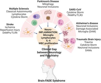 Brain FADE syndrome: the final common pathway of chronic inflammation in neurological disease